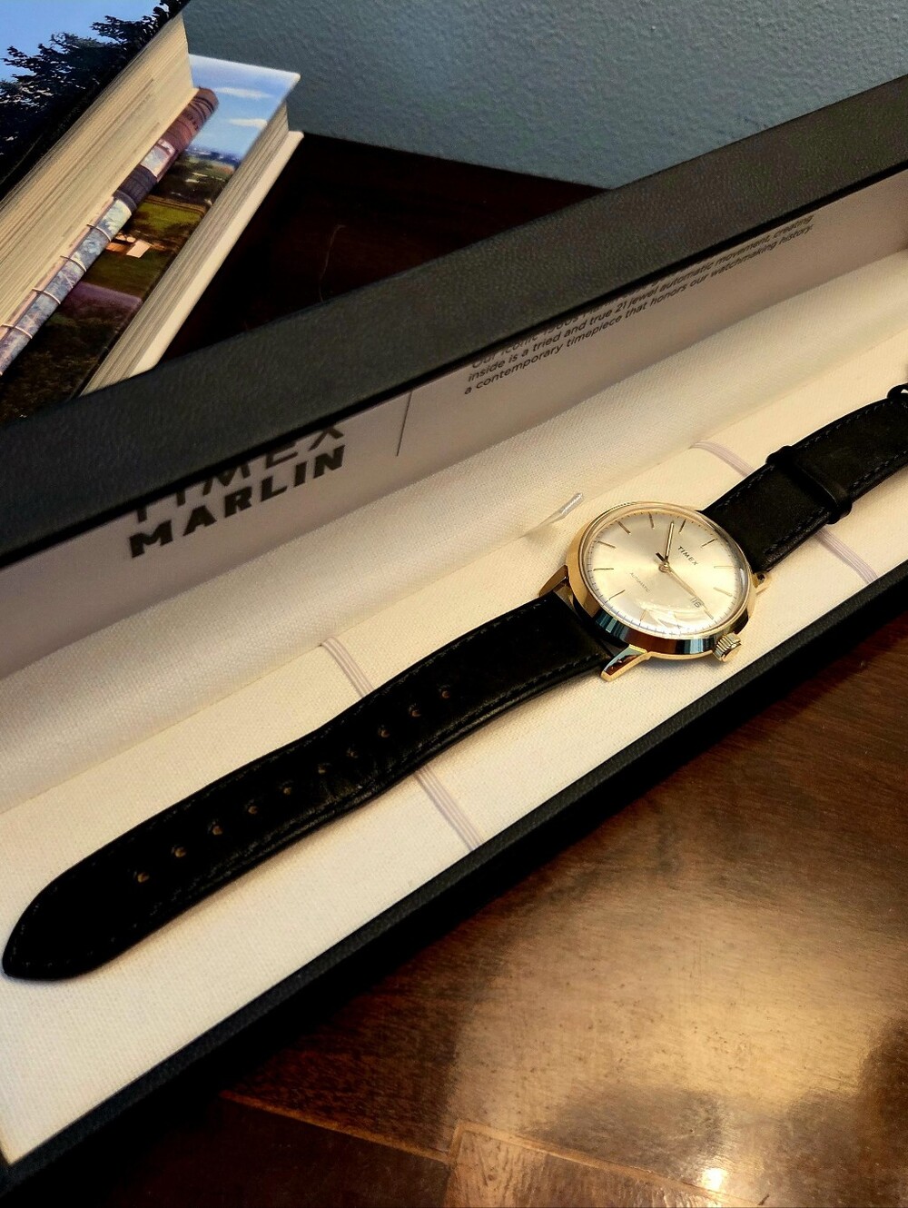 Timex Marlin Gold Case with Black Leather Strap